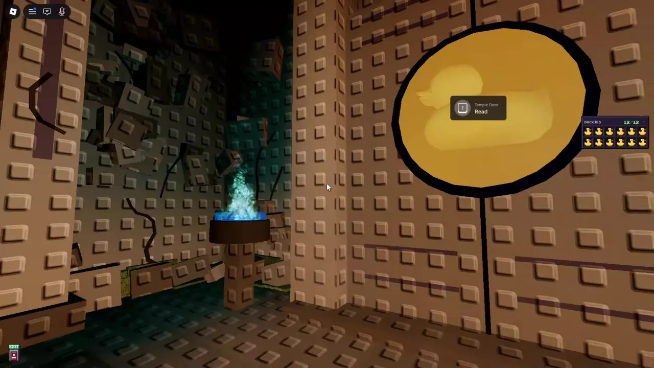 Temple Door's yellow duck emblem and E: Read prompt with the Duckies counter at 12/12.